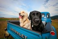 Дмитрий Шувалов фотография #4 (источник - https://vk.com/id577902)