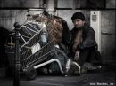 Чікан Тристаграмовий фотография #14 (источник - https://vk.com/id63199798)