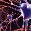 Фотография Вельяминовой Алеси