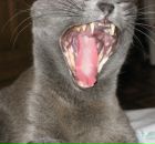 Фотография Наумовой Александры