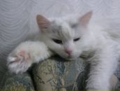 Фотография Михайловой Марии