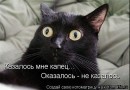 Иришка Венцова фотография #44 (источник - https://vk.com/id4664078)