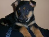 Сергій Токарчук фотография #4 (источник - https://vk.com/id63166642)