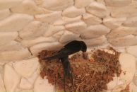 Фотография Груздева Юрия