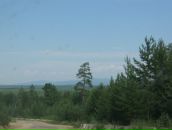 Дмитрий Таиров фотография #38 (источник - https://vk.com/id6359962)