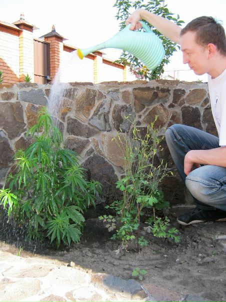 Антон Лебедь фото №49