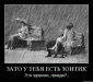  фотография #31
