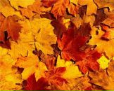 Фотография Ожерельевой Татьяны