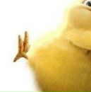 Іра Марциняк фотография #13 (источник - https://vk.com/id148611521)