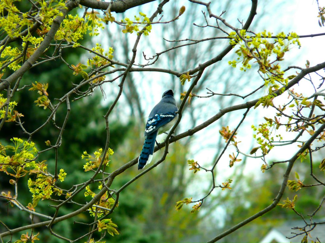 Валерия Ли фотография #49