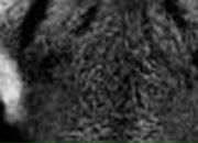 Иван Луценко фотография #15 (источник - https://vk.com/id18720890)