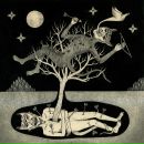 Фотография Giraffa Mr