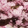 Κонстантин Ηосков фотография #36 (источник - https://vk.com/id149205979)