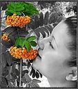 Фотография Persik Розочки