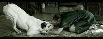 Фотография Каретник Валерии