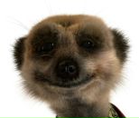 Фотография Kapustina Natalia