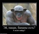 Іруня Бобошко фотография #28 (источник - https://vk.com/id77218760)