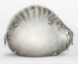 Фотография Денисова Олега