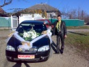Віталій Петрушко фотография #44 (источник - https://vk.com/id106113550)