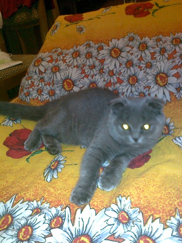 Марина Ермоченко фотография #8