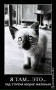 Андрей Лермонтов фотография #30 (источник - https://vk.com/id3879905)