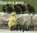 Фотография Игнатьева Александра