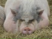 Фотография Зюзькевич Ксении