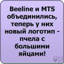Андрій Ференс фотография #27 (источник - https://vk.com/id132034624)