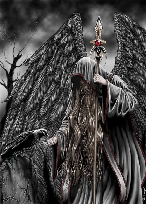 Тоор Здесь фотография #38