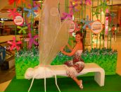 Фотография Коваленко Екатерины