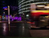 Александра Файнвейц фотография #1