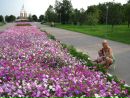 Ірина Сліпкевич фотография #24 (источник - https://vk.com/id170841932)