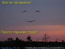 Ліля Канцер фотография #39 (источник - https://vk.com/id134997345)
