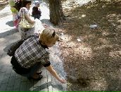 Фотография Солодовниковой Дарии