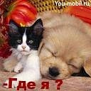 Ларіса Жучишина фотография #18 (источник - https://vk.com/id142460746)