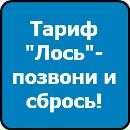 Назар Чорнодід фотография #15 (источник - https://vk.com/id74823031)