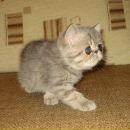 Фотография Герасимовой Ирины