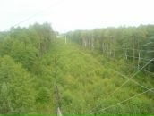 Юрій Пастернак фотография #13 (источник - https://vk.com/id34504777)