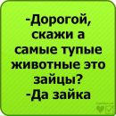 Іринка Сайкевич фотография #15 (источник - https://vk.com/id64858161)