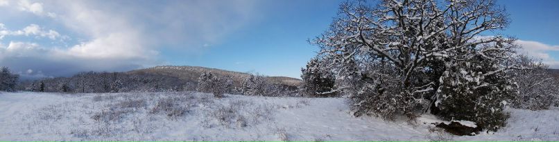 Влад Бугаревский фотография #3