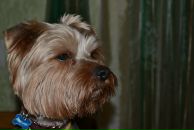 Фотография Цеминой Ксении