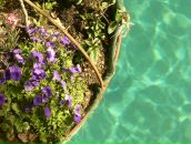 Фотография Суханово Маримьяны