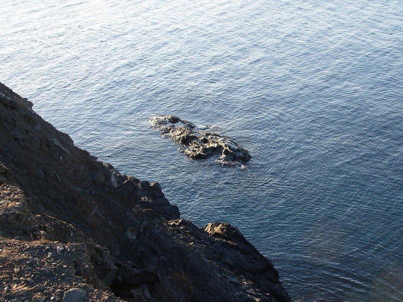 Александр Нечаев фотография #16