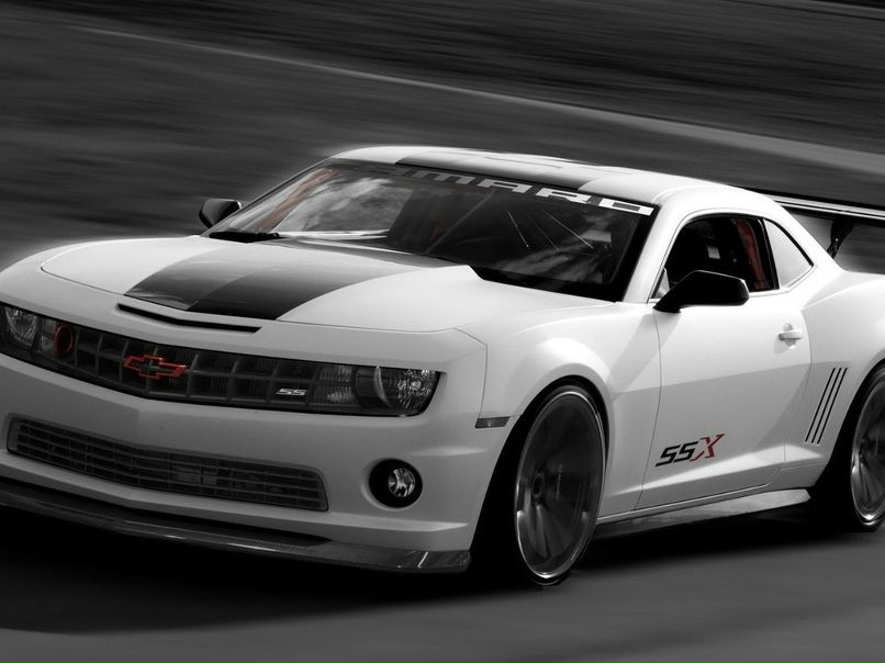 Виктор Сергеев фотография #5