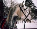 Фотография Светлана Бабенко