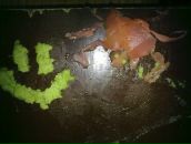 Фотография Мусиенко Олега