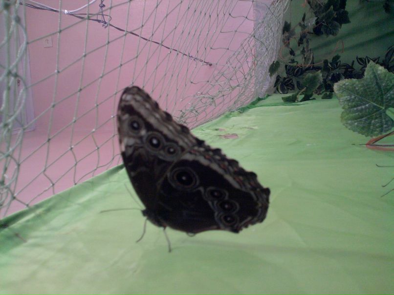 Катя Клименко фотография #30