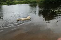 Иван Любченко фотография #37 (источник - https://vk.com/id682883)