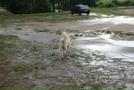 Иван Любченко фотография #42 (источник - https://vk.com/id682883)