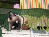 Фотография Корзининой Елены